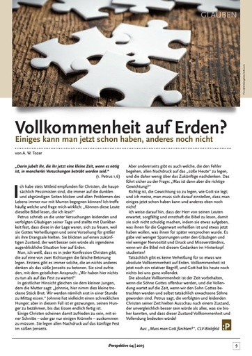 Perspektive 2015 04 vollkommenheit auf erden