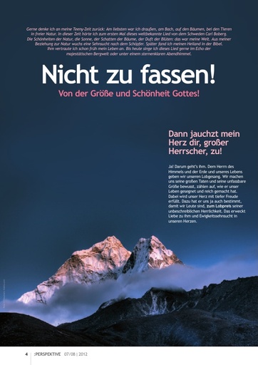 Perspektive 2012 07 nicht zu fassen
