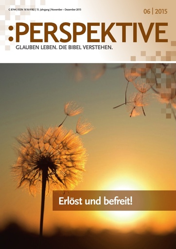 Perspektive 2015 06 komplett
