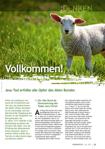 Perspektive 2011 04 vollkommen