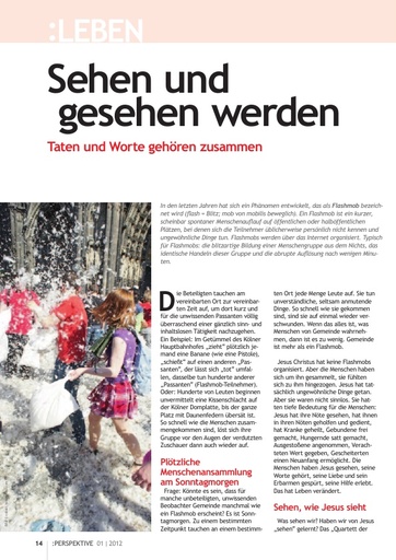 Perspektive 2012 01 sehen und gesehen werden