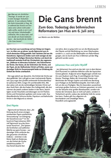 Perspektive 2015 04 die gans brennt