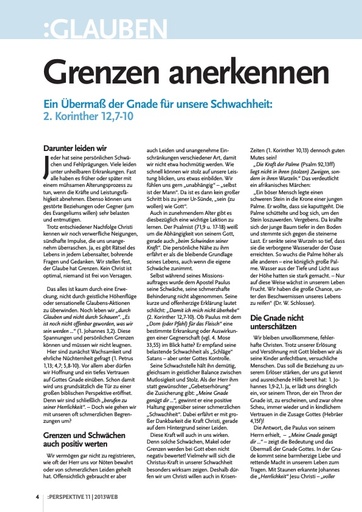 Perspektive 2013 11 komplett