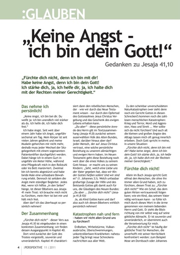 Perspektive 2011 11 komplett