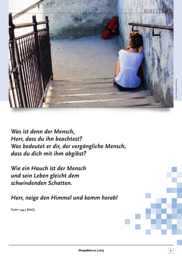Perspektive 2015 01 komplett