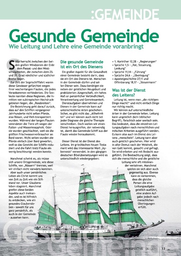 Perspektive 2010 06 die gesunde gemeinde