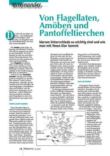 Perspektive 2003 12 von flagellaten amoeben und pantoffeltierchen