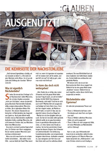 Perspektive 2008 10 ausgenutzt