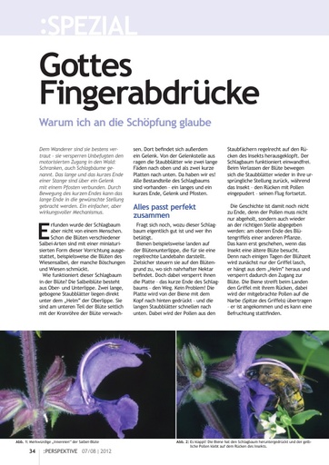 Perspektive 2012 07 gottes fingerabdruecke