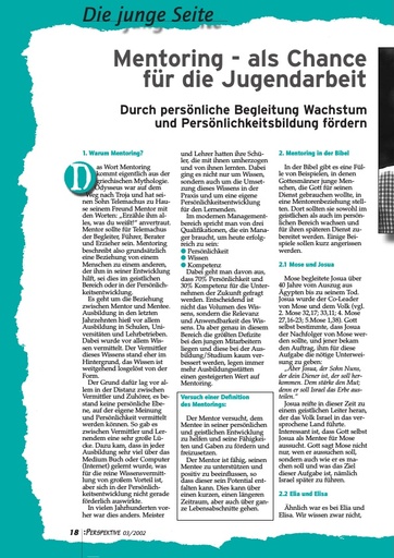 Perspektive 2002 03 mentoring als chance fuer die jugendarbeit
