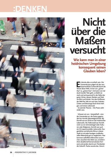 Perspektive 2013 11 nicht ueber die massen versucht