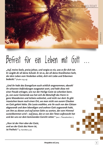 Perspektive 2015 06 das beste kommt zum schluss
