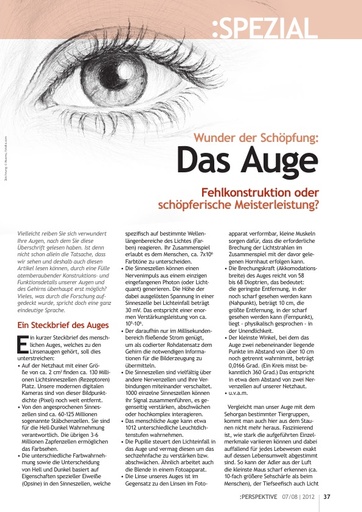 Perspektive 2012 07 das auge