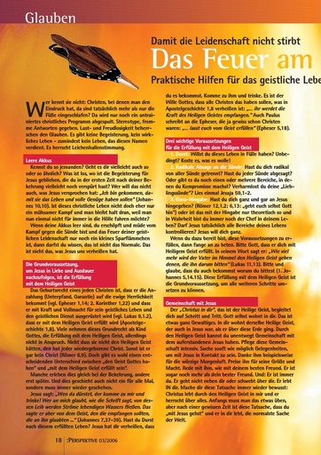 Perspektive 2006 03 das feuer am brennen halten