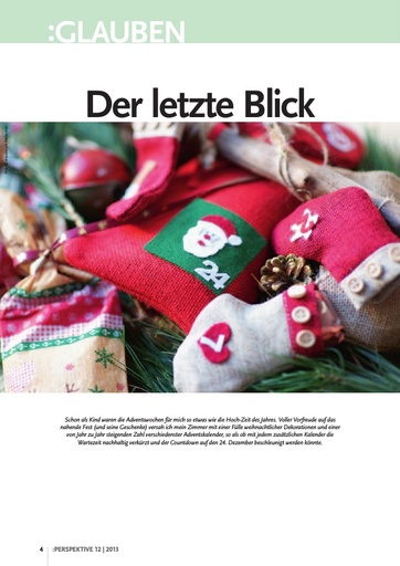 Perspektive 2013 12 komplett