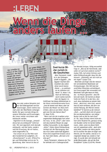 Perspektive 2013 01 wenn die dinge anders laufen