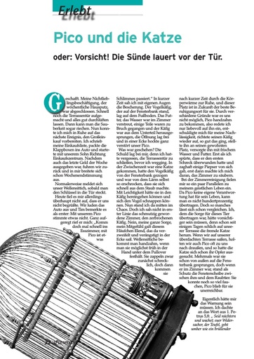 Perspektive 2001 03 vorsicht die suende lauert vor der tuer
