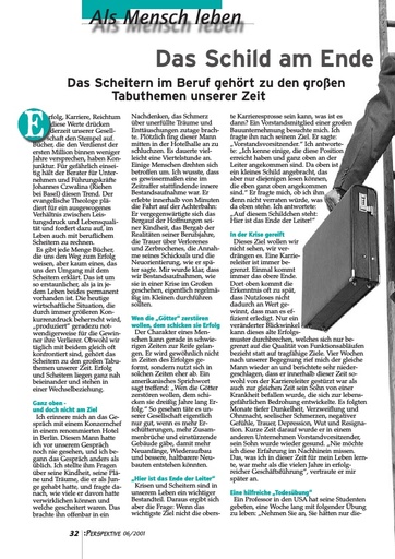 Perspektive 2001 06 das schild am ende der karriereleiter